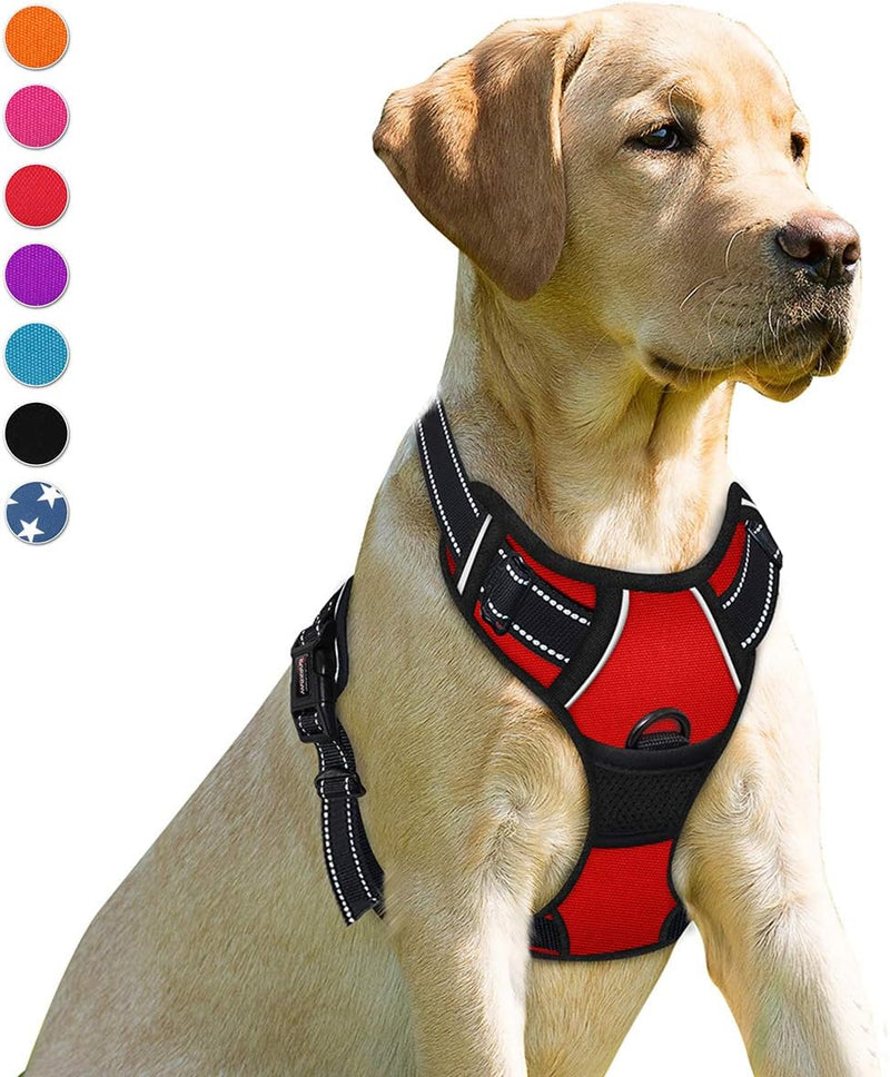 Feature image